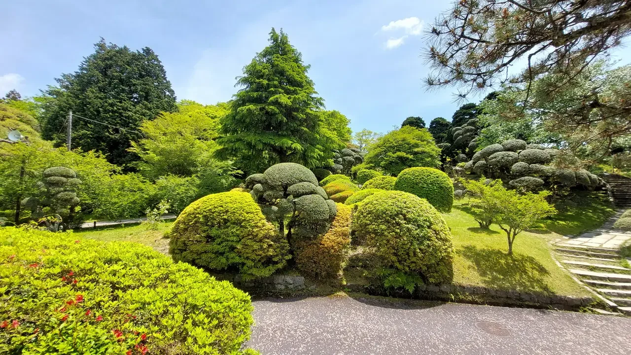 Giardino giapponese con alberi potati e vegetazione lussureggiante sotto il cielo azzurro.