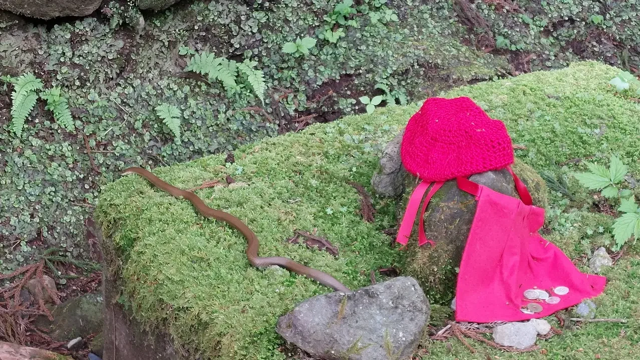 Un paesaggio naturale con muschio e oggetti colorati in Giappone.