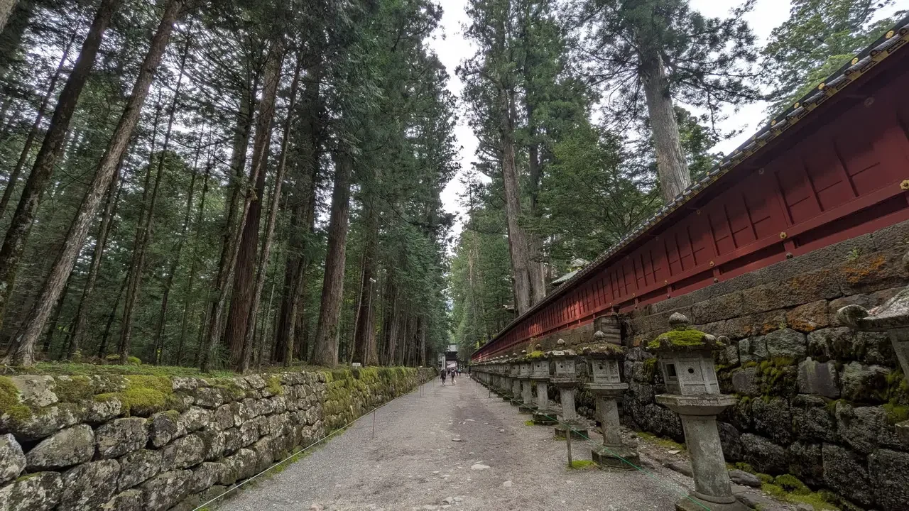 Sentiero boschivo che conduce a un santuario in Giappone.