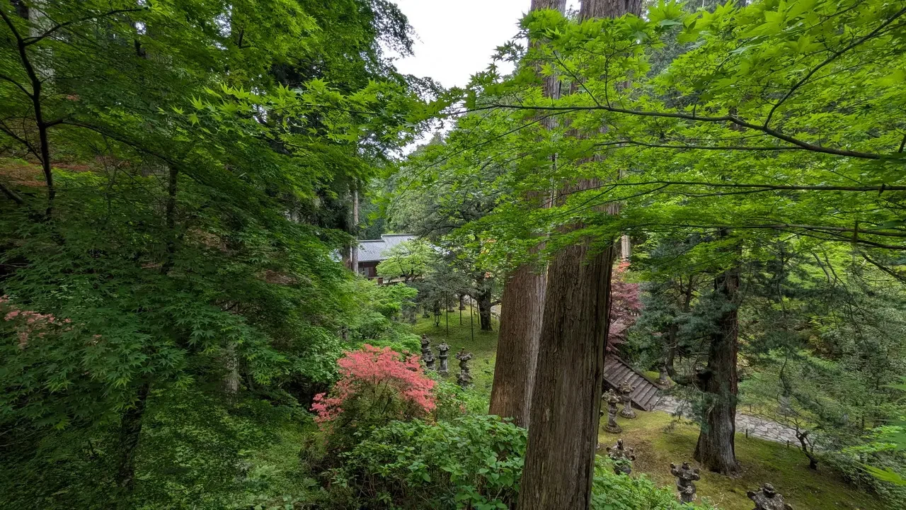 Vista del santuario Taiyuinbyo in una foresta lussureggiante.
