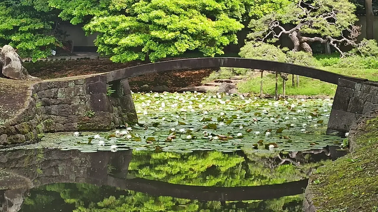 Un ponte di pietra attraversa uno stagno con ninfee galleggianti in un giardino giapponese.