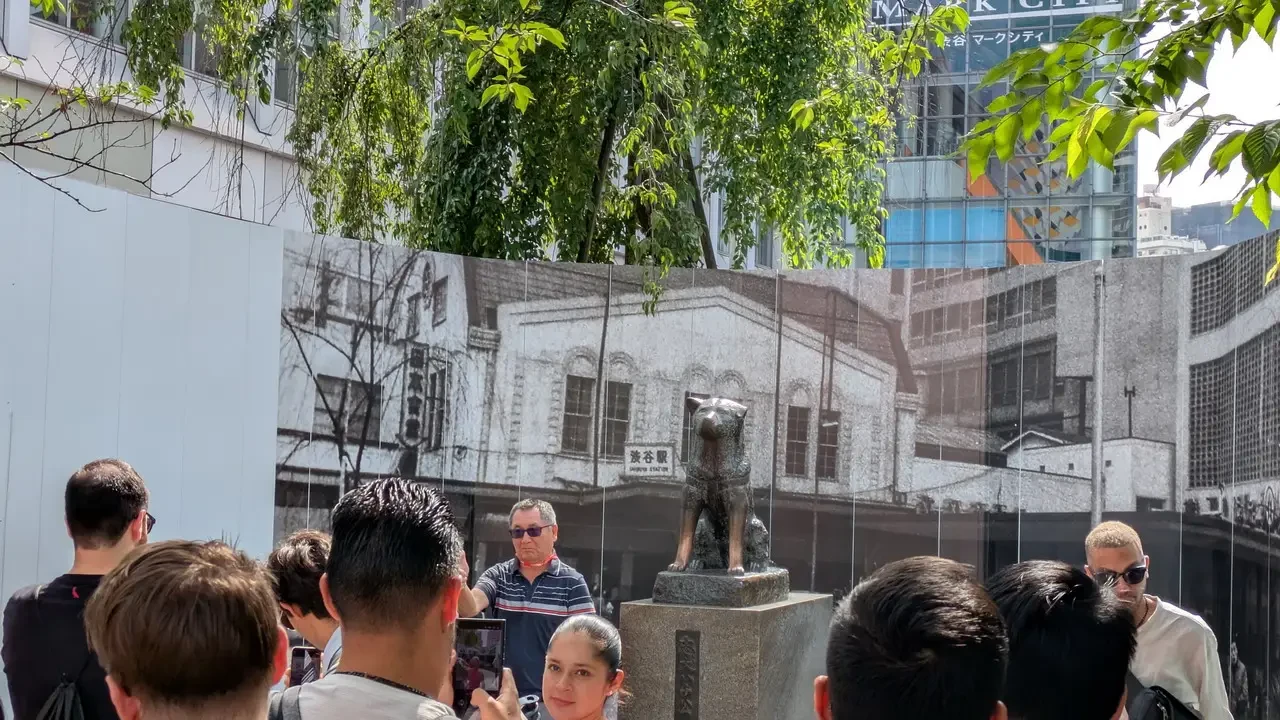 Il monumento a Hachiko è visibile in una galleria fotografica a Tokyo.