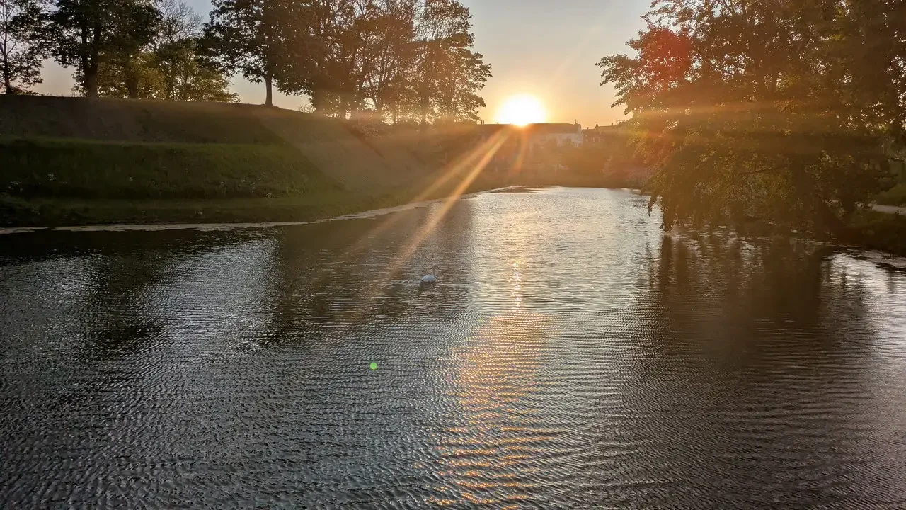 Tramonto sul fiume con riflessi dorati attraverso gli alberi.