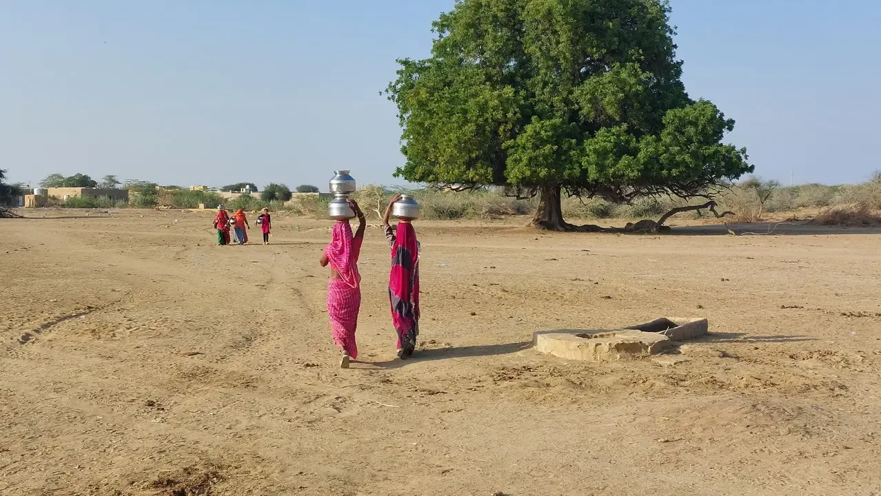 Donne in sari camminano attraverso un deserto arido vicino a un albero grande.