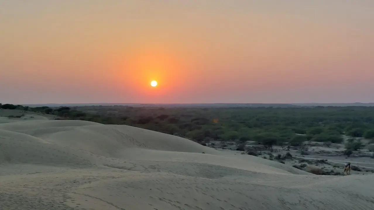Paesaggio desertico illuminato dal tramonto nel deserto di Thar.