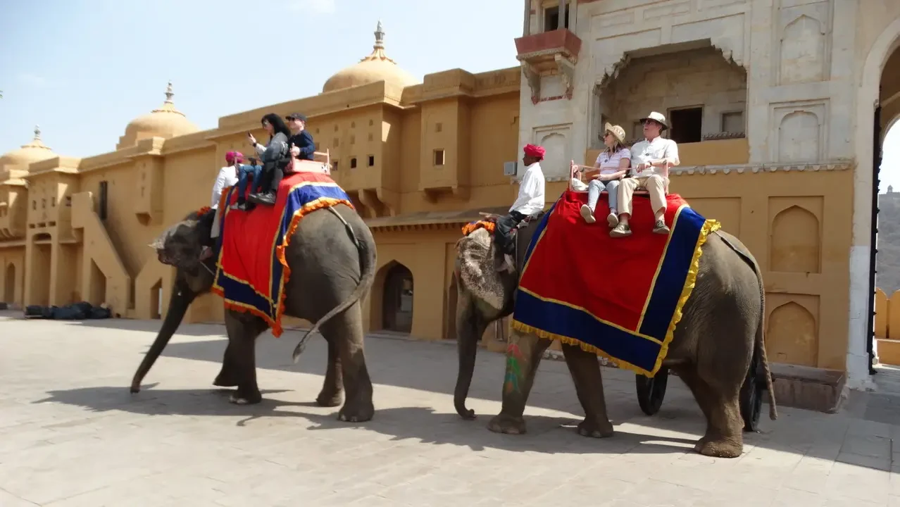 Elefanti con cavalieri percorrono una struttura fortificata in Rajasthan, India.