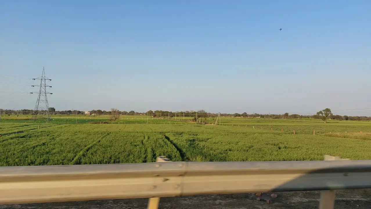 Un paesaggio rurale in India mostra un campo verde sotto un cielo azzurro.