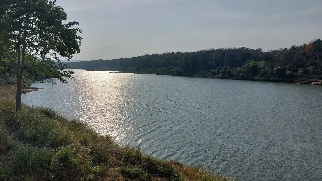 Un fiume serpeggia attraverso una lussureggiante foresta boscosa.