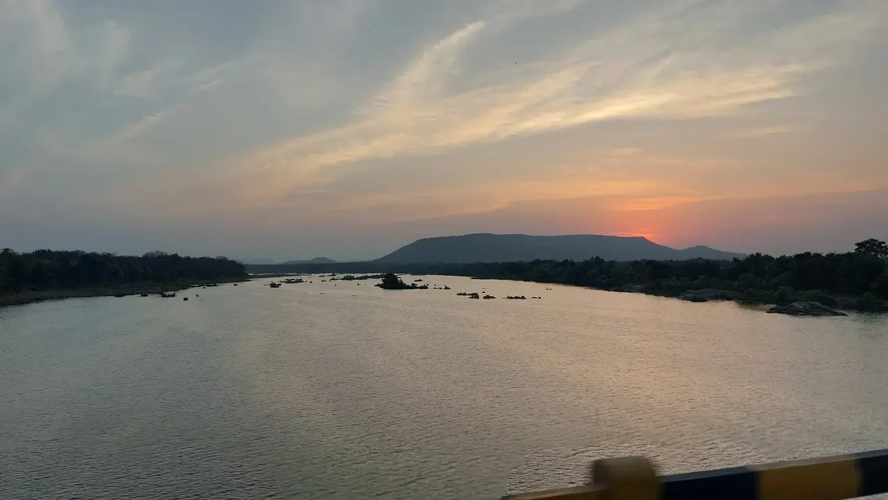 Safari di tigri al tramonto su un fiume in India.