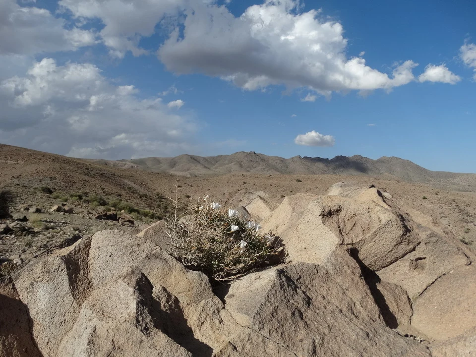A village of troglodytes in Iran is set against an arid, hilly landscape.