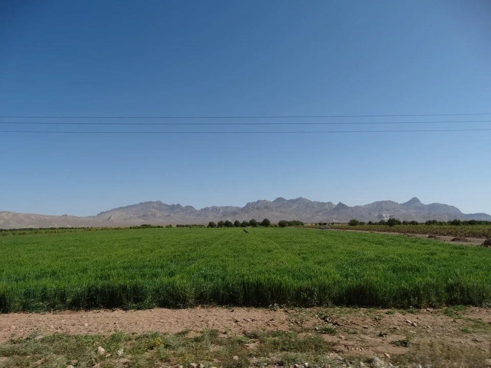 Un campo verde si estende sotto le montagne in Iran.