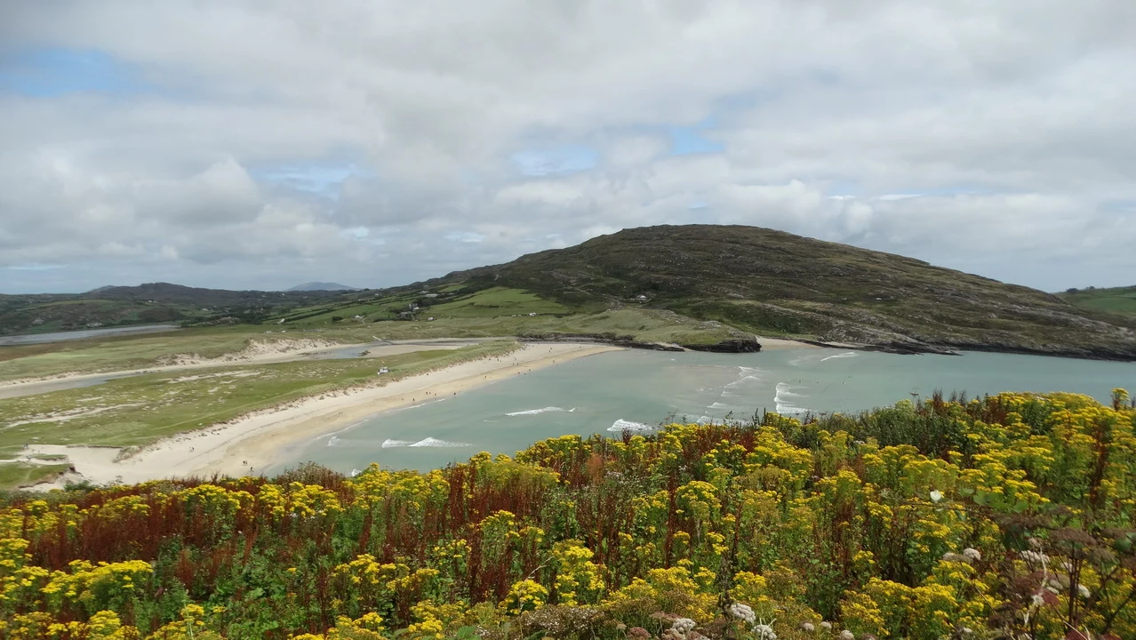 Paesaggio costiero irlandese con una spiaggia sabbiosa e vegetazione in primo piano.