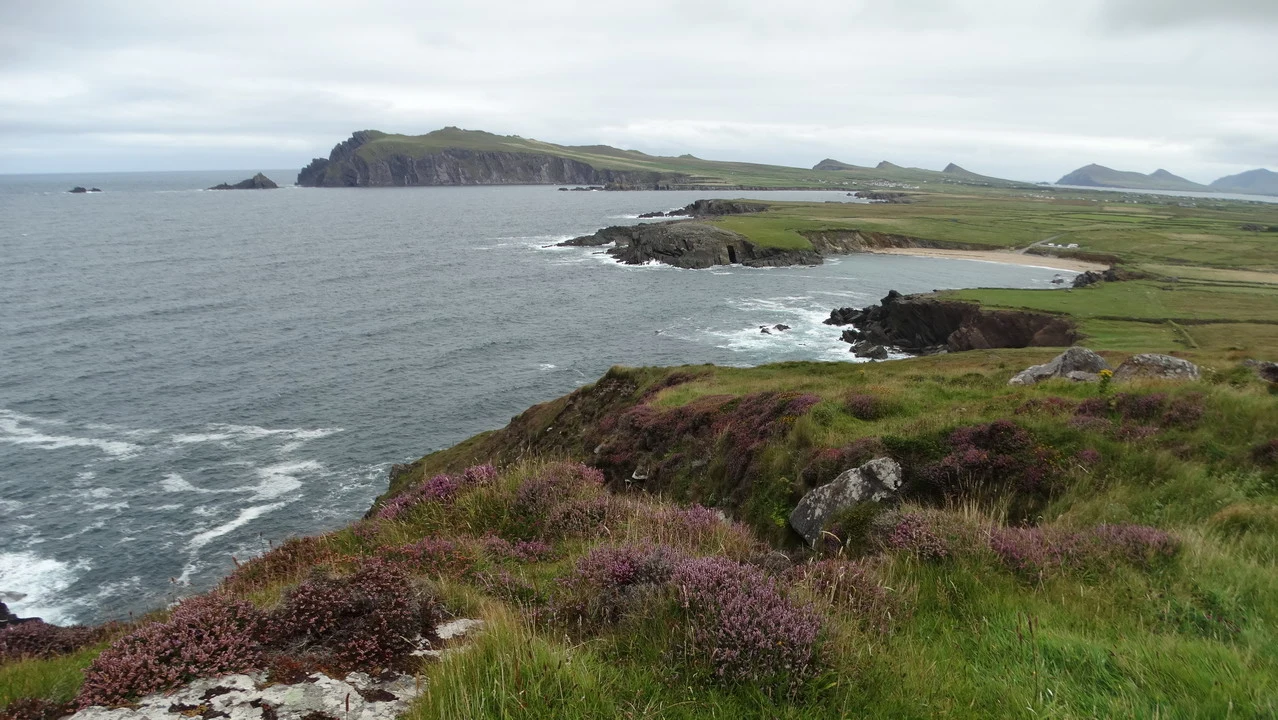 Paesaggio costiero irlandese con isole rocciose e vegetazione bassa.