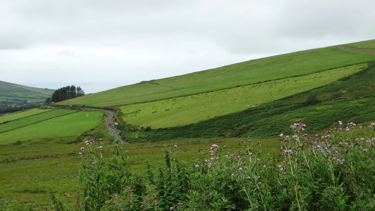 Paesaggio rurale verde in Irlanda con una strada che si snoda attraverso le colline.