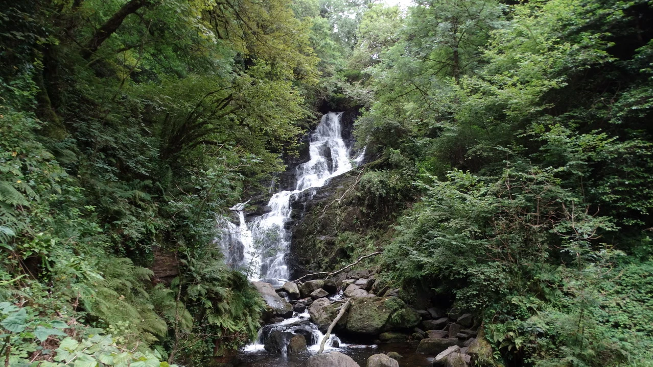 Cascata naturale immersa nella fitta foresta verde dell'Irlanda.