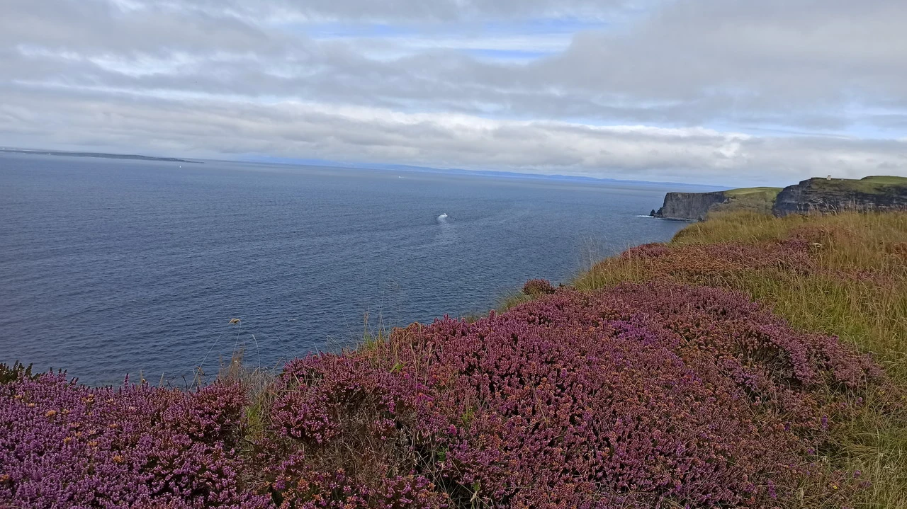 Le scogliere di Moher si estendono lungo la costa irlandese sotto un cielo nuvoloso.