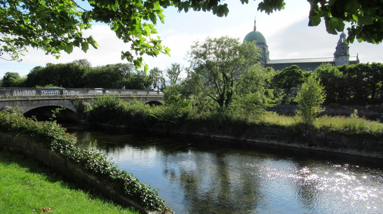 Un fiume scorre sotto un ponte verdeggiante in Irlanda con vegetazione lussureggiante.