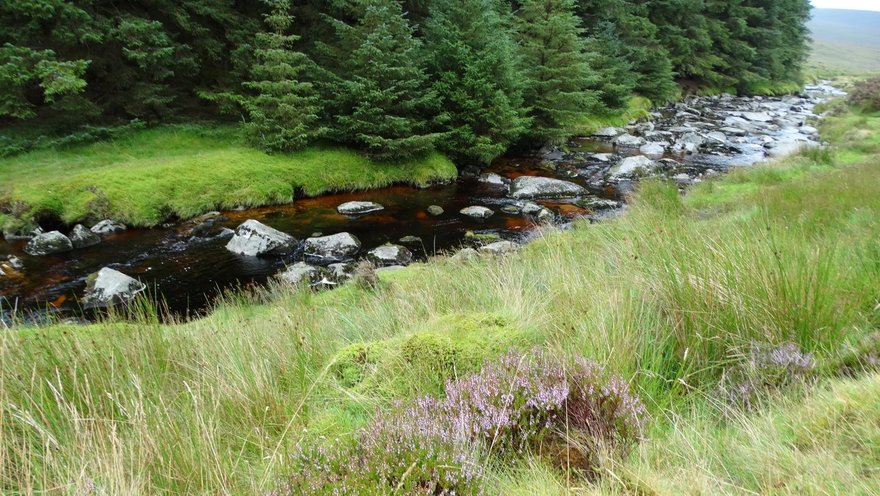 Un fiume scorre attraverso una valle boscosa in Irlanda.