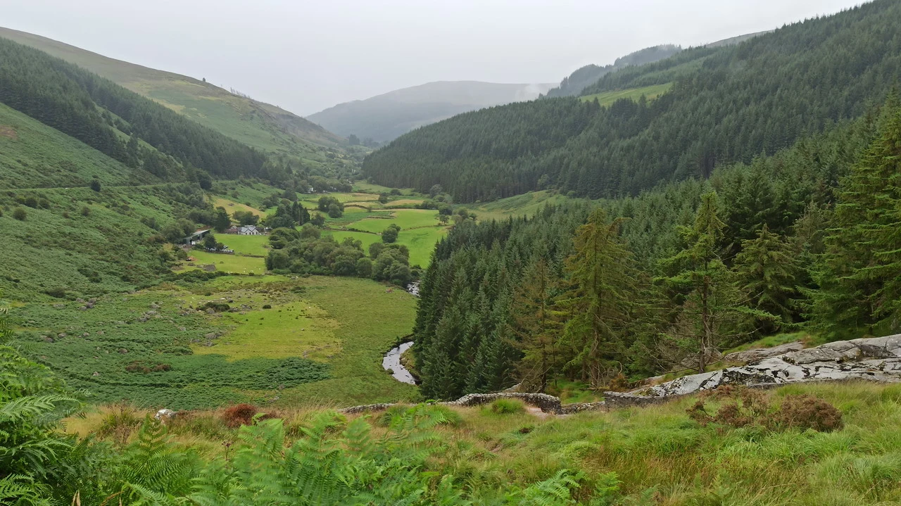 Paesaggio verde di una valle boscosa in Irlanda con un fiume che scorre tra le colline.