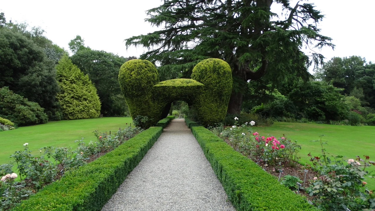 Giardino formale con siepi verdi e un sentiero pedonale in Irlanda.