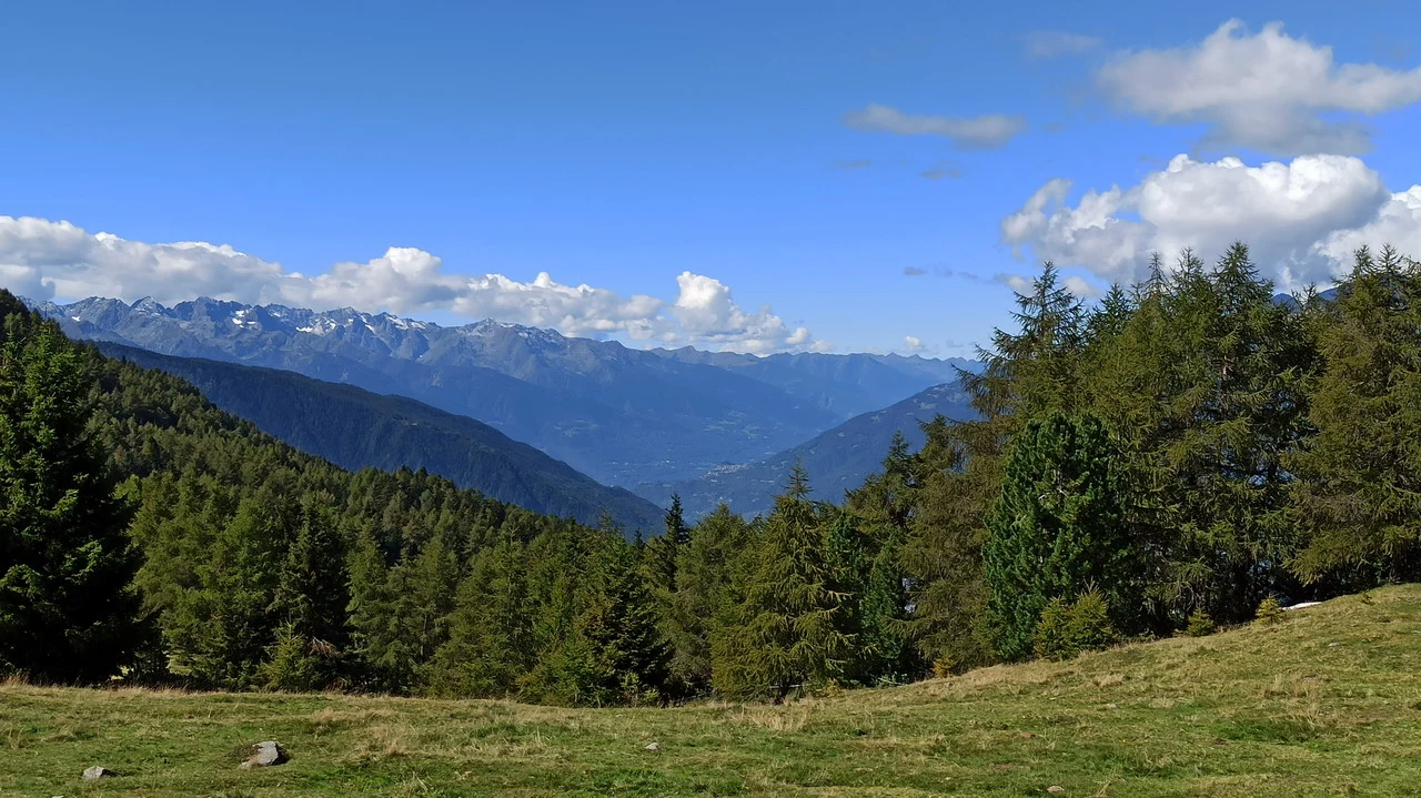 Panorama delle Alpi italiane con foreste e montagne innevate sotto un cielo azzurro.