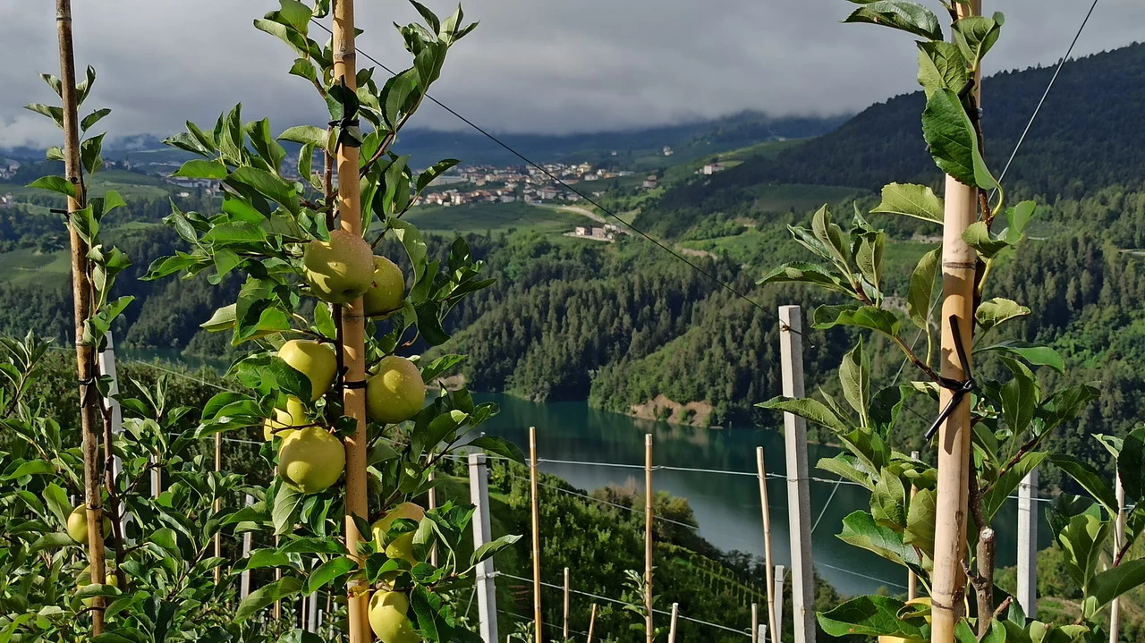 San Romedio, Castello di Firmiano e Lago di Carezza