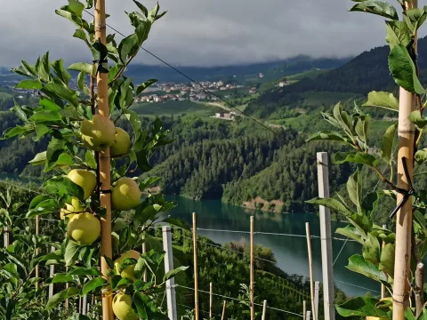San Romedio, Castello di Firmiano e Lago di Carezza