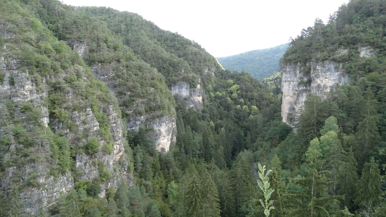 Cavalieri attraversano una valle boscosa nelle Alpi italiane.