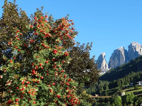 Il cuore delle Dolomiti