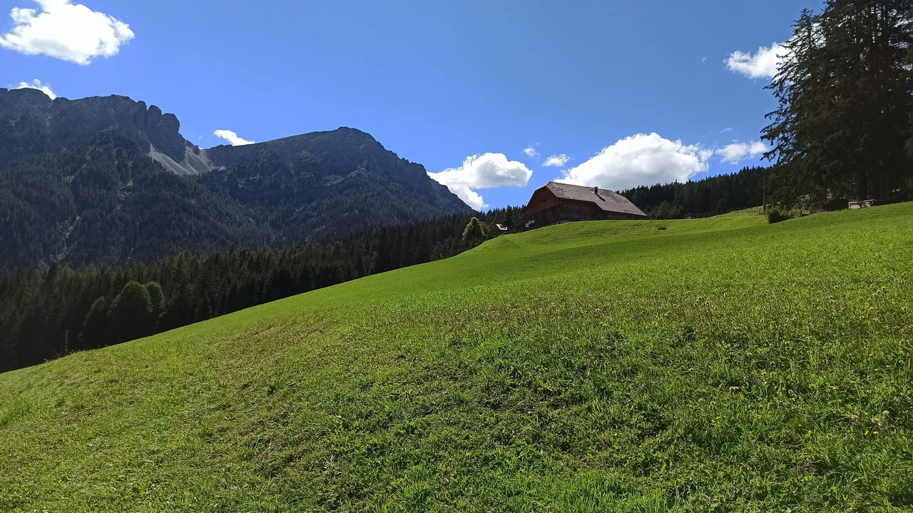 Prato verde alpino con montagne sullo sfondo sotto un cielo azzurro.