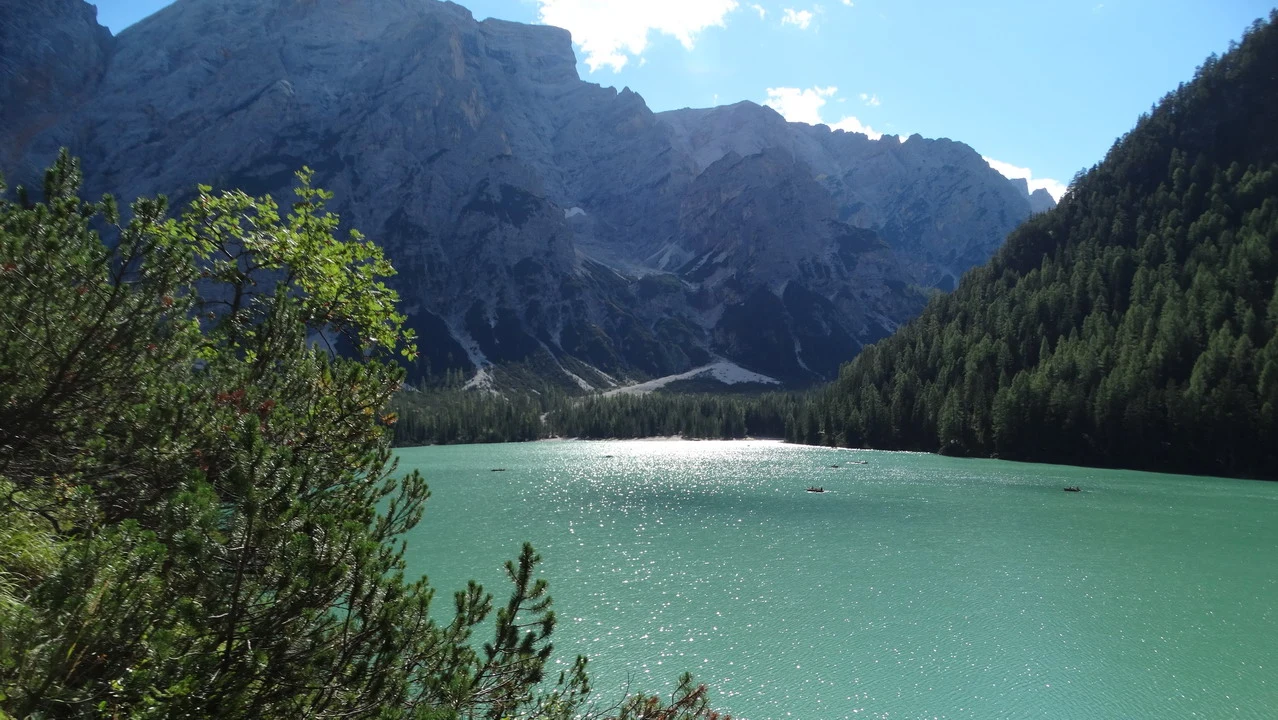 Cavallo in una valle alpina con un lago verde brillante e montagne imponenti sullo sfondo.