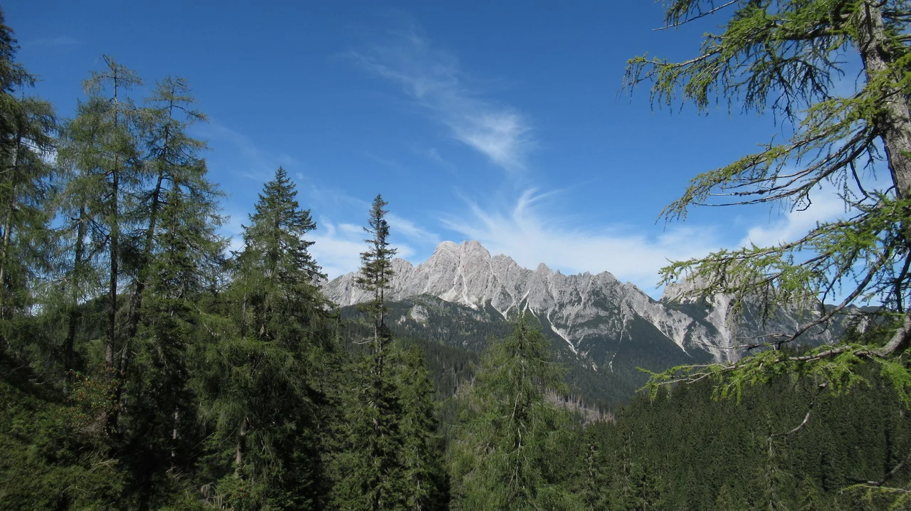 Cavalieri cavalcano attraverso un paesaggio montano innevato con foreste verdi.
