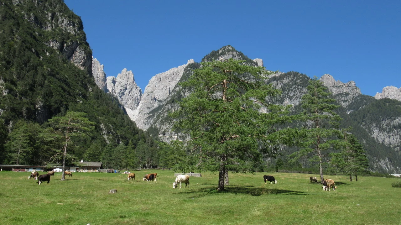 Cavalieri attraversano un pascolo alpino con montagne imponenti sullo sfondo.