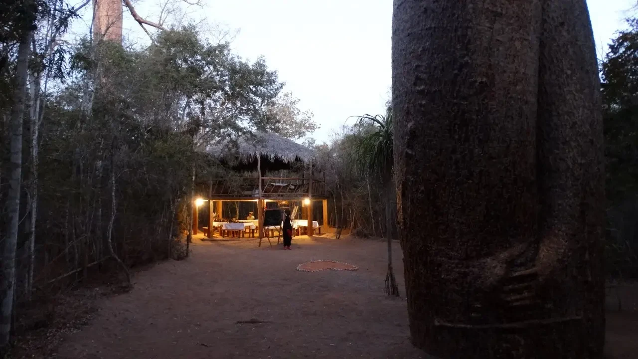 Una vista notturna di un campeggio in una zona boscosa di Madagascar con tavoli allestiti all'aperto.