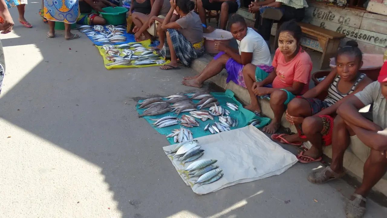 Mercato di Morondava con pescatori che espongono il pesce sulla strada.