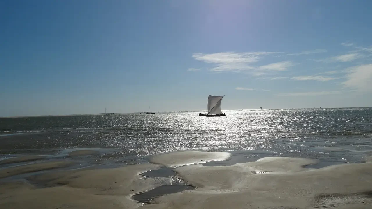 Una barca a vela galleggia sull'acqua vicino alla riva della spiaggia.