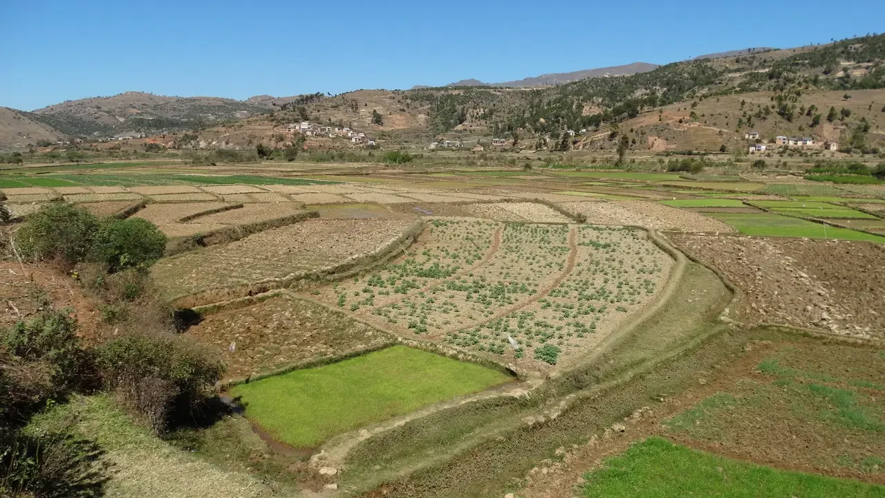 Paesaggio rurale tra colline secche e campi coltivati in Madagascar.