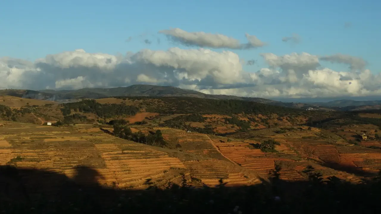 Paesaggio collinare con campi terrazzati in Madagascar sotto un cielo nuvoloso.