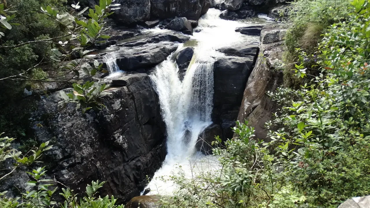 Cascate d'acqua cadono su rocce scure circondate dalla vegetazione lussureggiante.