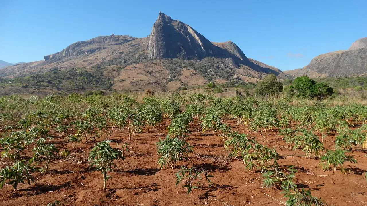 Paesaggio collinare secco con coltivazioni in primo piano a Madagascar.