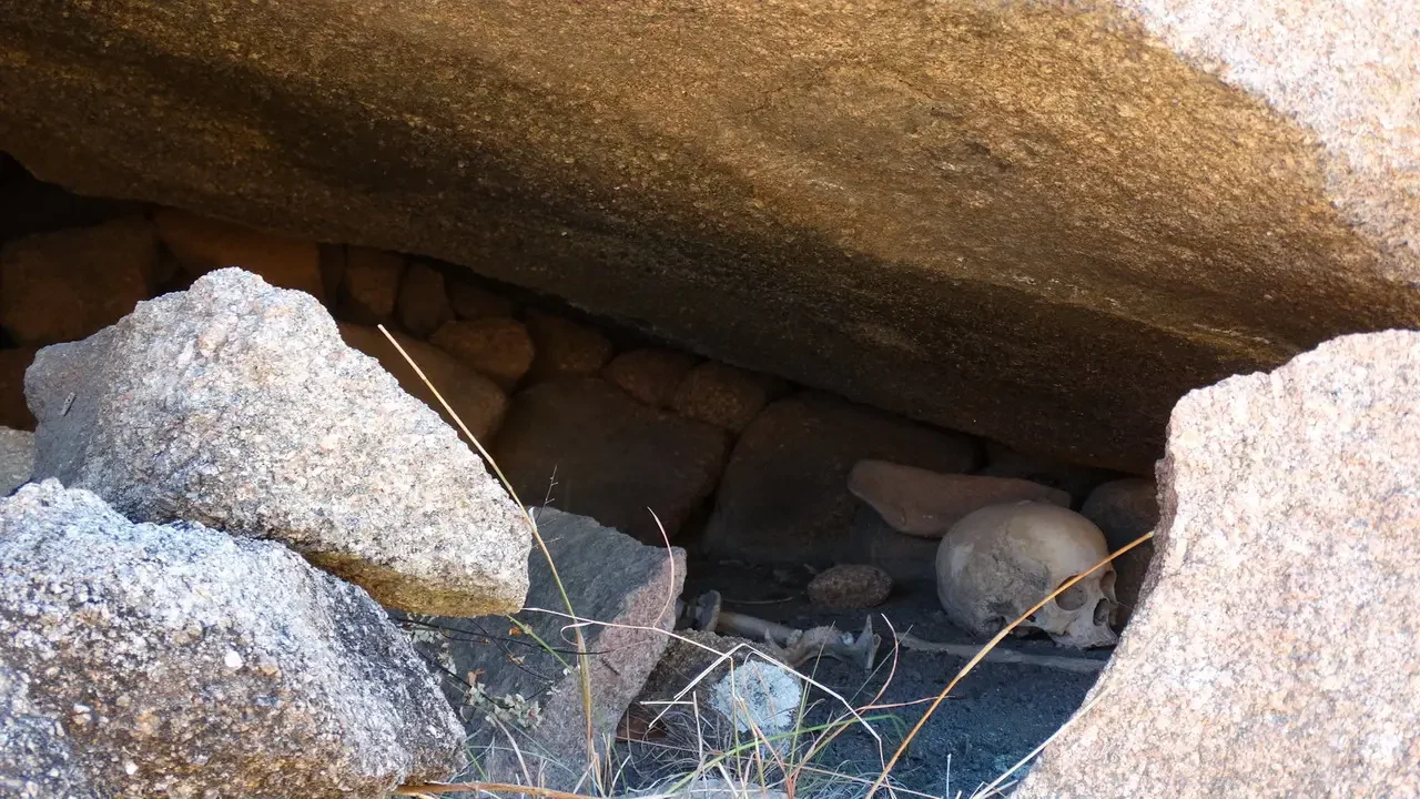 Un cranio è visibile tra le rocce in un ambiente naturale.