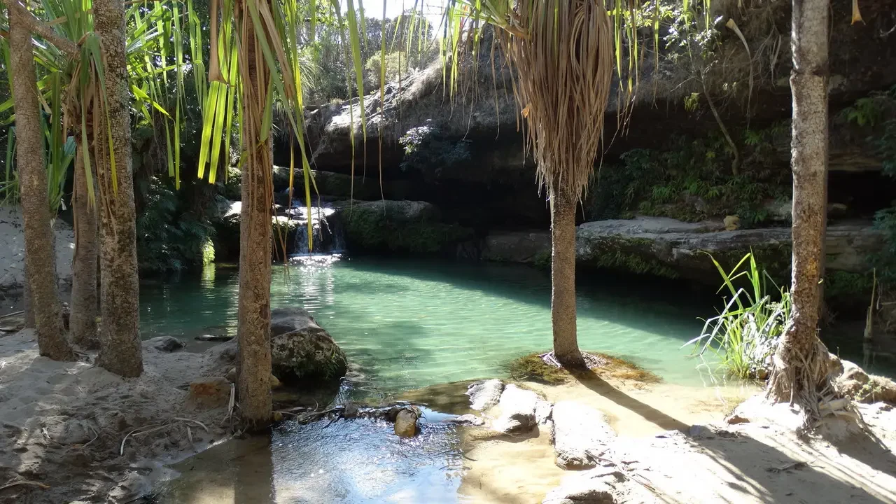 Una pozza d'acqua turchese si trova tra alberi e rocce in una foresta lussureggiante di Madagascar.