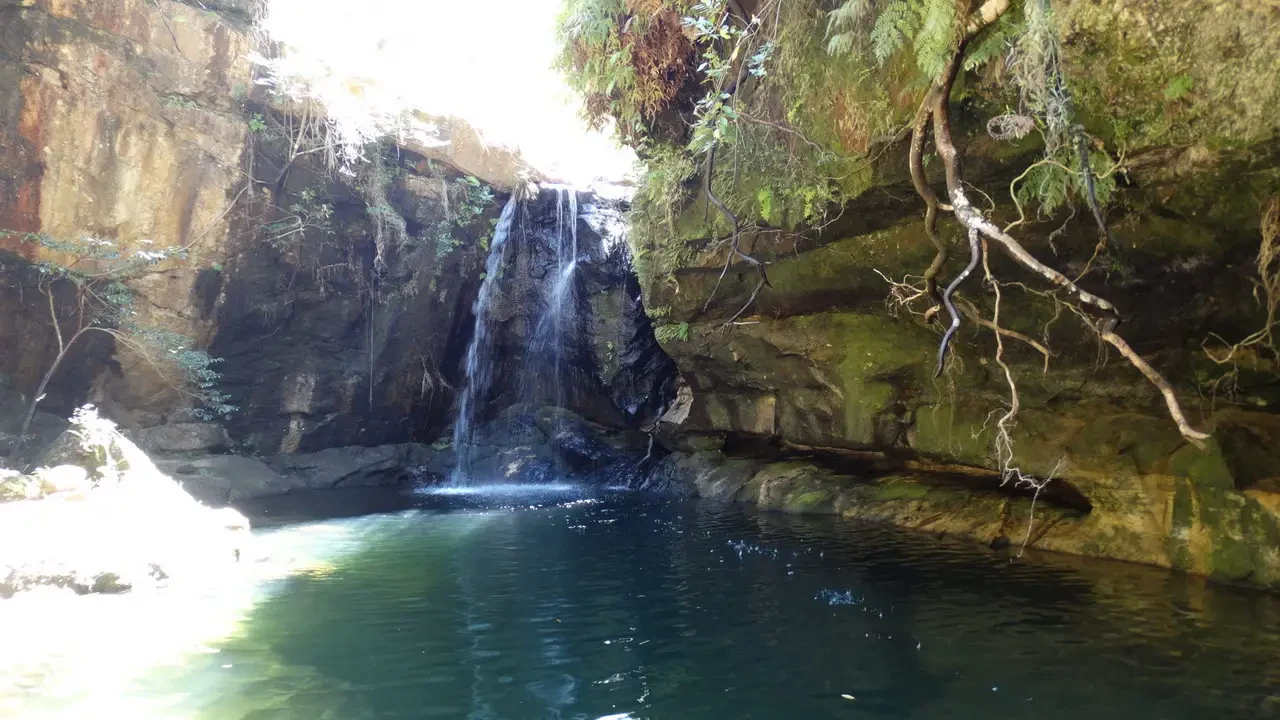 Una cascata scende in una pozza verde smeraldo tra rocce ricoperte di vegetazione lussureggiante.