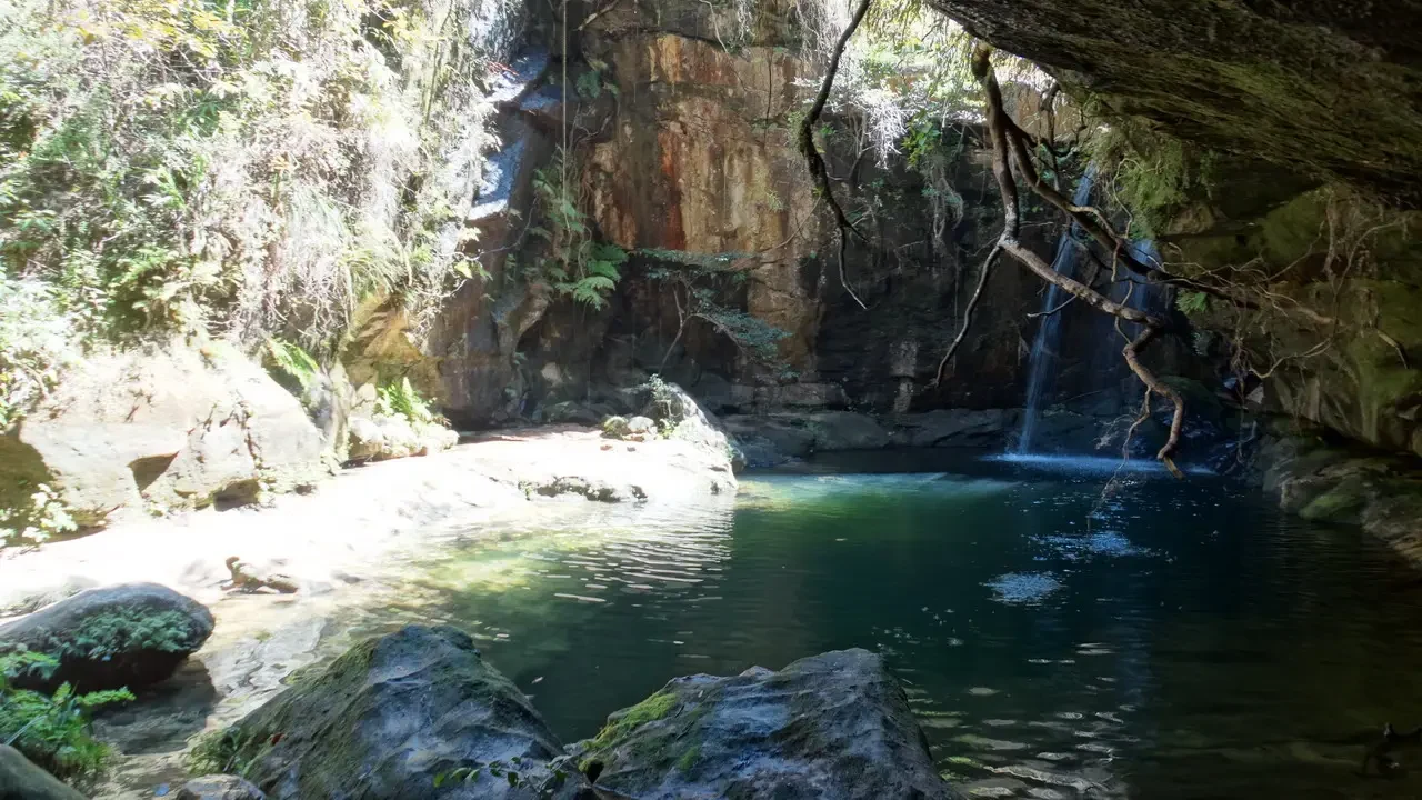 Una pozza blu e verde con una cascata in un ambiente boschivo.