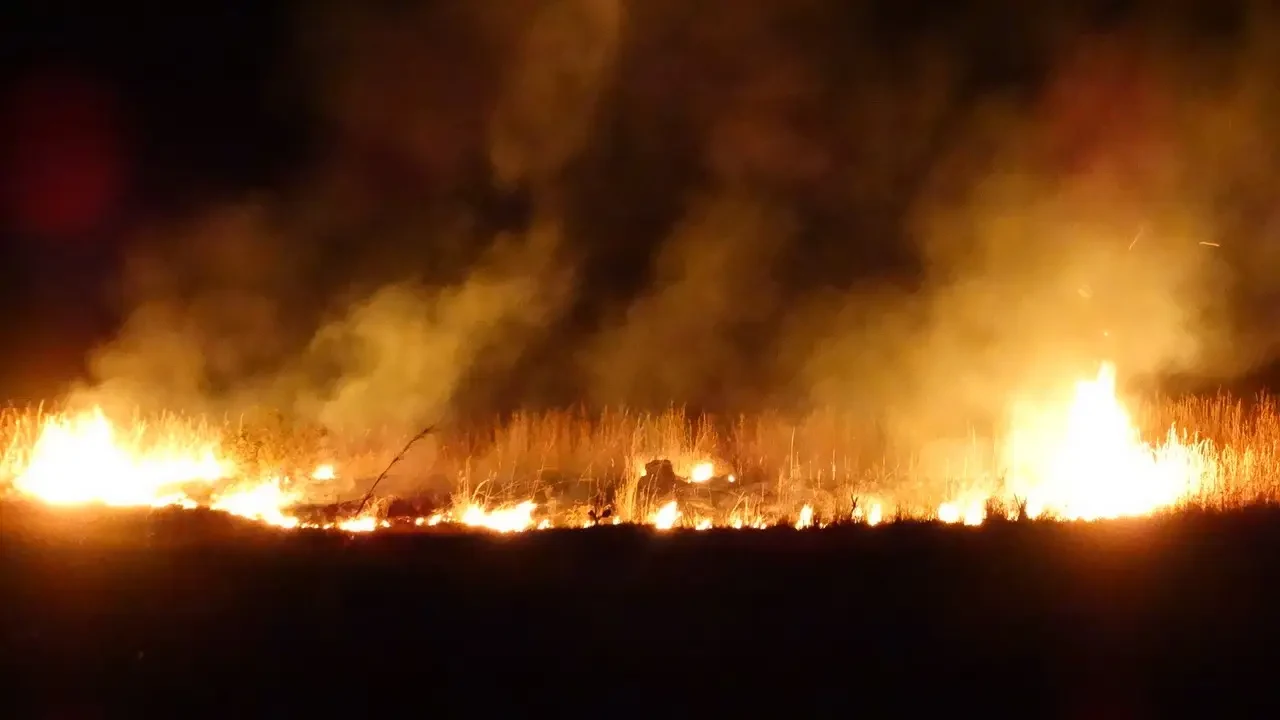 Un grande fuoco brucia la vegetazione secca in un paesaggio africano.