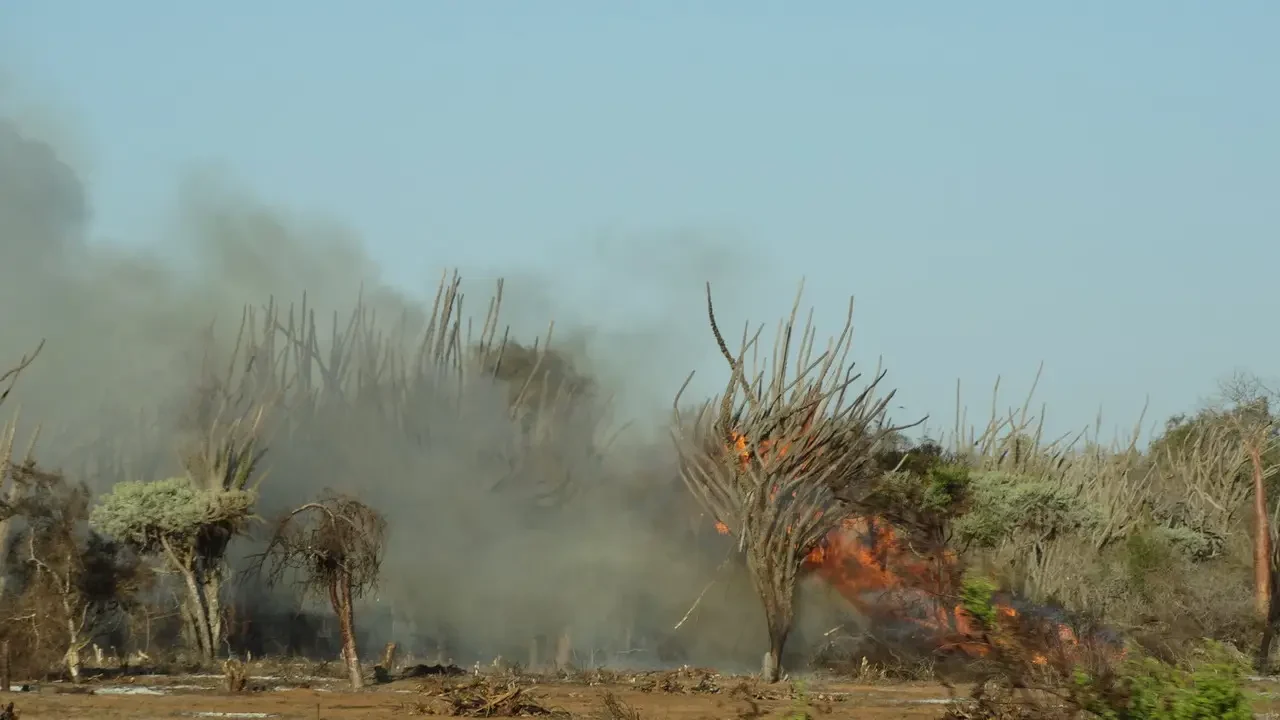 Paesaggio secco con fumo in una zona arida di Madagascar.