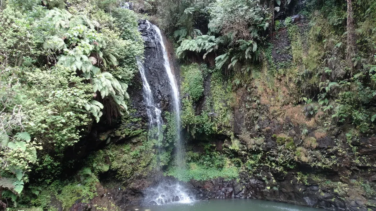 Una cascata verde scende su una gola boscosa in Madagascar.