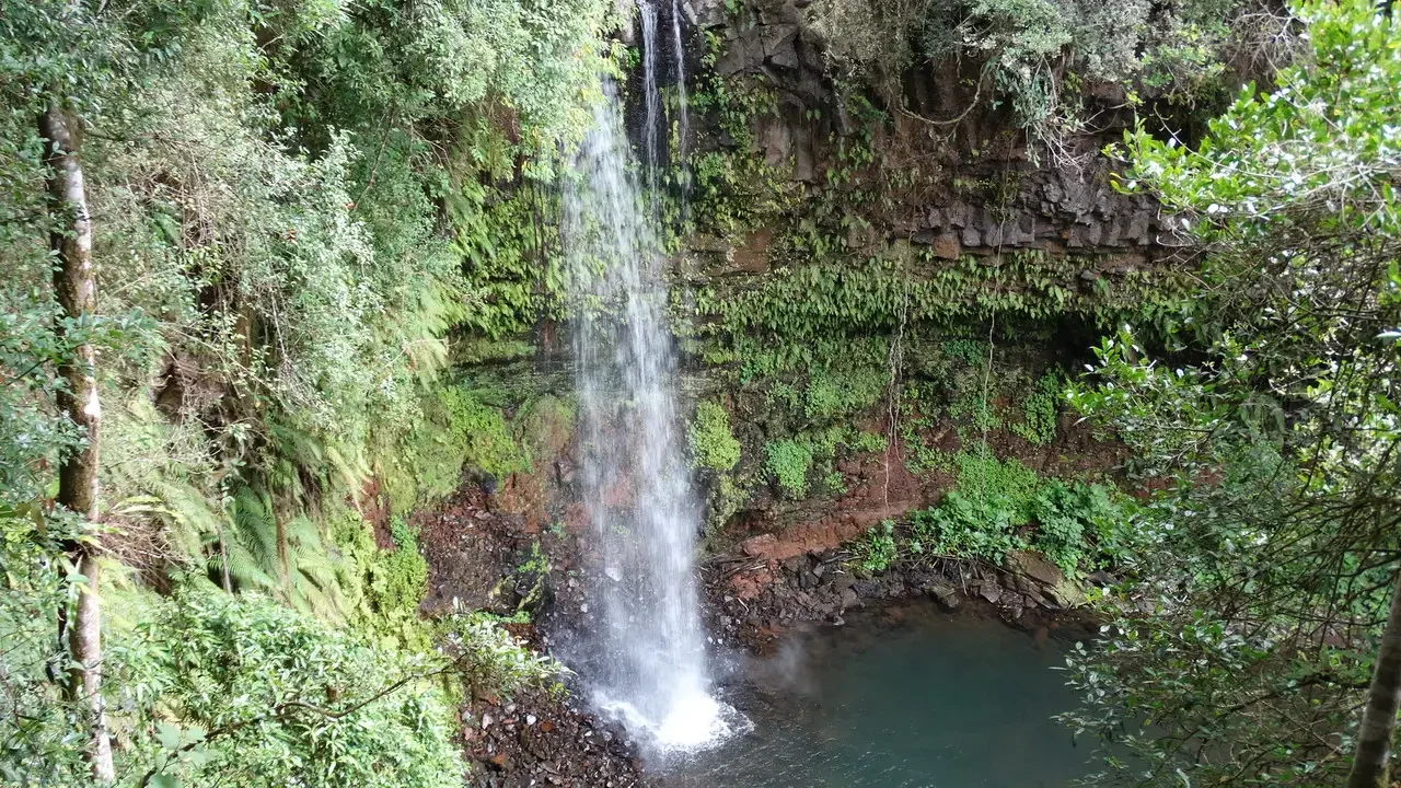 Cascata d'acqua nella foresta di Madagascar.
