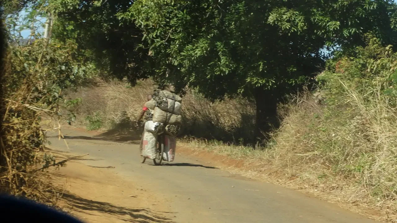 Una persona trasporta carichi su una strada di campagna a Madagascar.