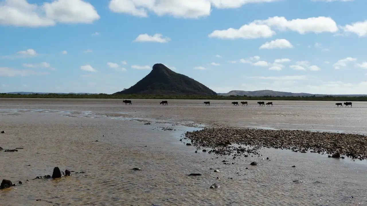 Paesaggio arido di una pianura con animali su un terreno piatto in Madagascar.